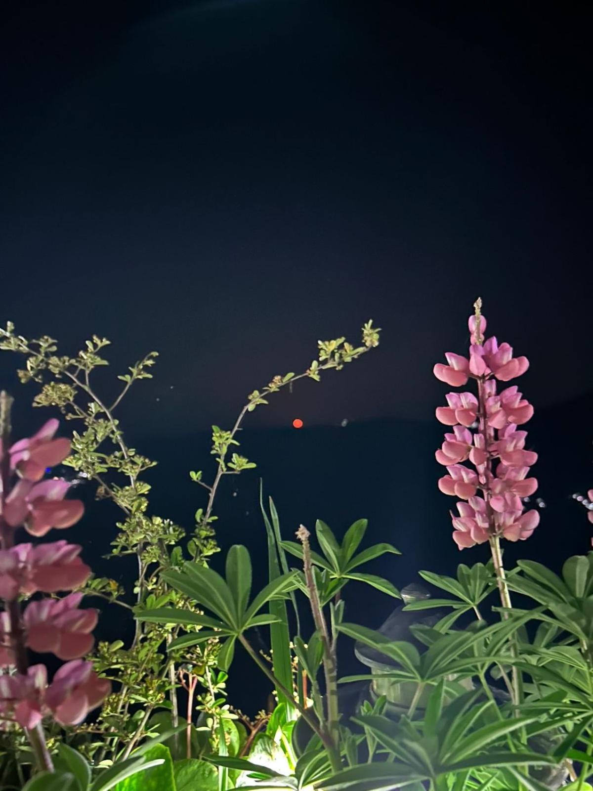 Murmincho Homestay Darjeeling  Ngoại thất bức ảnh